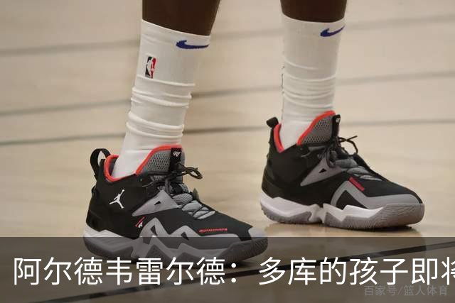 阿尔德韦雷尔德：多库的孩子即将出生，我后悔面对类似情况的选择